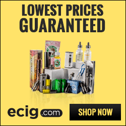 ecig.com eCig